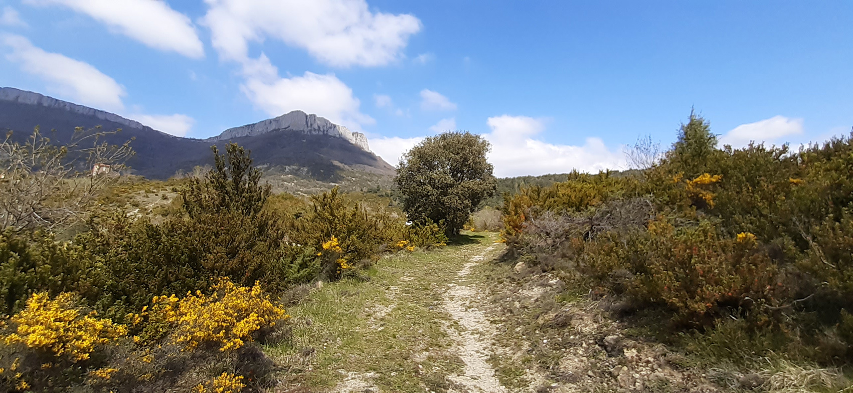 senda entre monte baja y al fondo se ve una montaña más alta